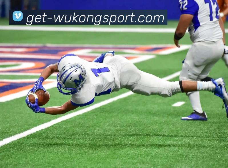 悟空体育APP 高清赛事图