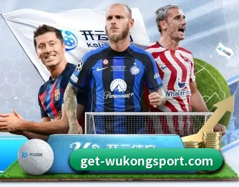平台简介 - 体育资讯内容服务(WukongSports)